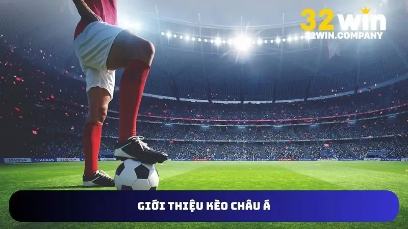 Theo dõi cá cược Handicap nổi bật