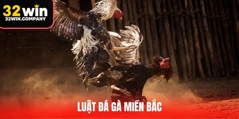Chi Tiết Luật Đá Gà Miền Bắc Từ A-Z Mới Nhất Năm 2025