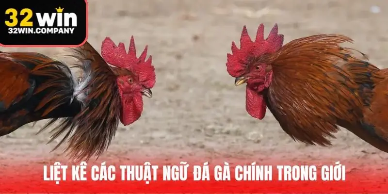 Liệt kê các thuật ngữ đá gà chính trong giới